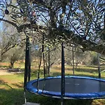 Glamping Algarve Olive Tree Nora (Barlavento)