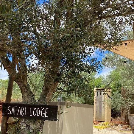 Glamping Algarve Olive Tree Nora