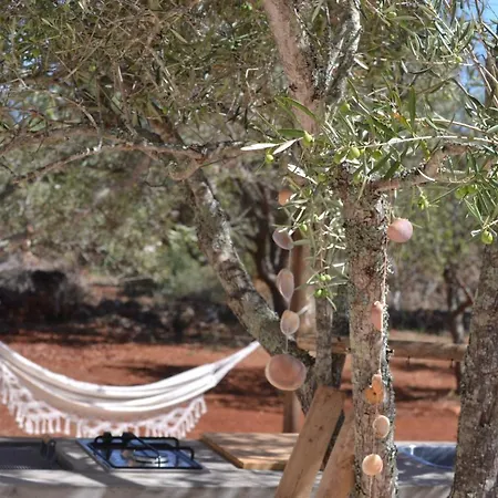 度假居 Glamping Algarve Olive Tree *