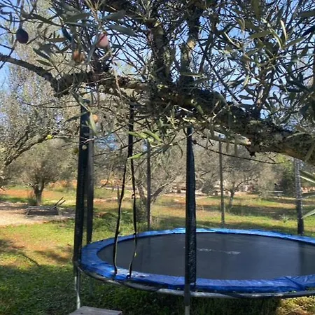 Glamping Algarve Olive Tree Nora (Barlavento)