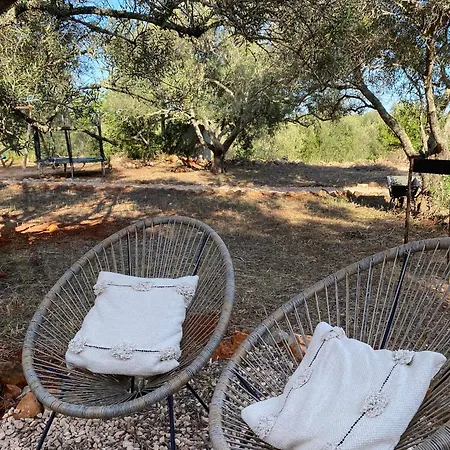 Glamping Algarve Olive Tree