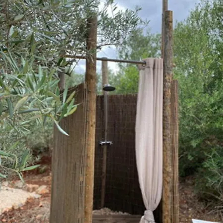 Glamping Algarve Olive Tree