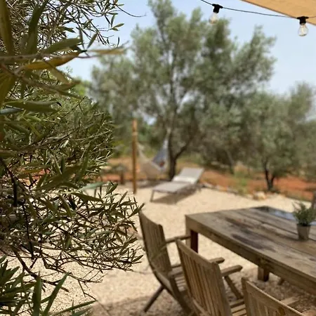 Glamping Algarve Olive Tree *