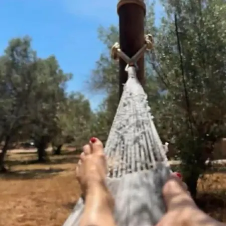Glamping Algarve Olive Tree *