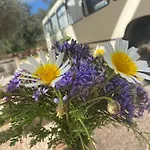 Glamping Algarve Olive Tree