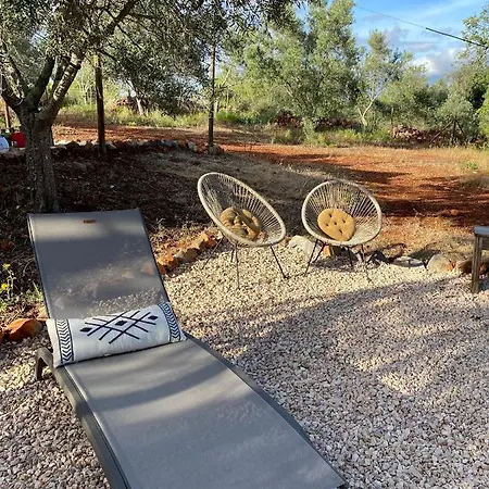 Kamp alanı Algarve Olive Tree Nora (Barlavento)