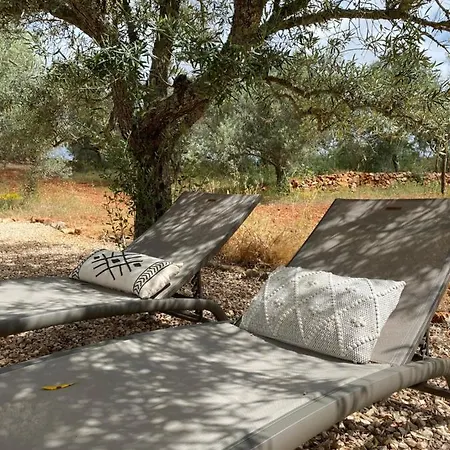 Glamping Algarve Olive Tree
