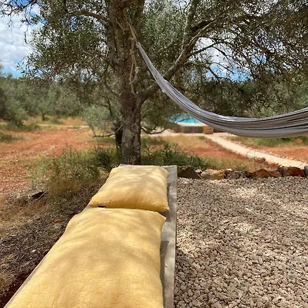 Glamping Algarve Olive Tree