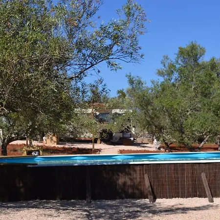 Algarve Olive Tree Kemping