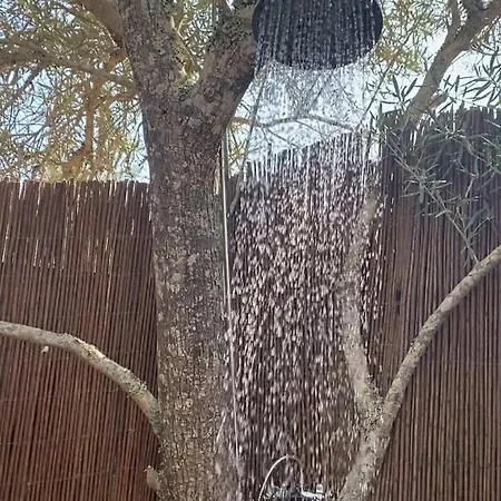 Kemping Algarve Olive Tree *