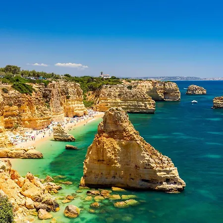 Kamp alanı Algarve Olive Tree