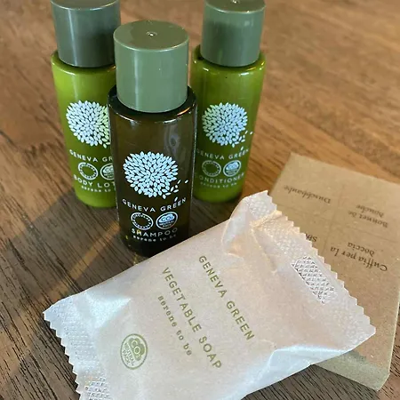 Algarve Olive Tree Nora (Barlavento)