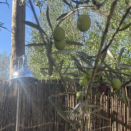 Glamping Algarve Olive Tree *