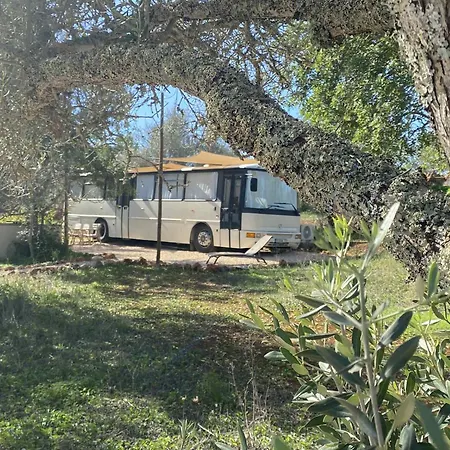 Hébergement de vacances Glamping Algarve Olive Tree *