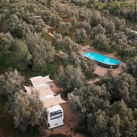 Glamping Algarve Olive Tree Hébergement de vacances Nora (Barlavento)