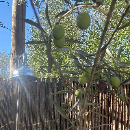 Glamping Algarve Olive Tree Nora (Barlavento)