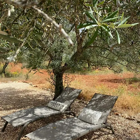 Glamping Algarve Olive Tree בית נופש *