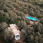 Glamping Algarve Olive Tree Holiday home Nora (Barlavento)