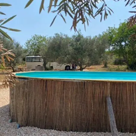 Glamping Algarve Olive Tree Nora (Barlavento)