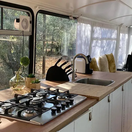 Vakantiehuis Glamping Algarve Olive Tree