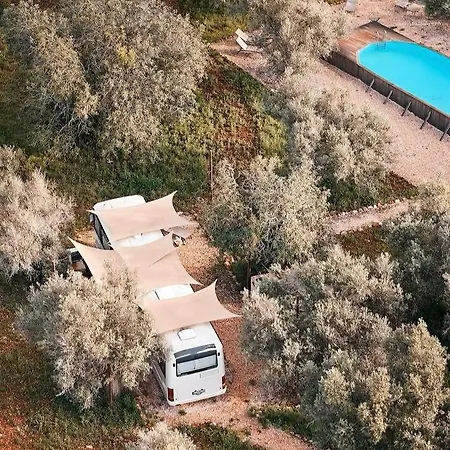 Glamping Algarve Olive Tree Vakantiehuis *